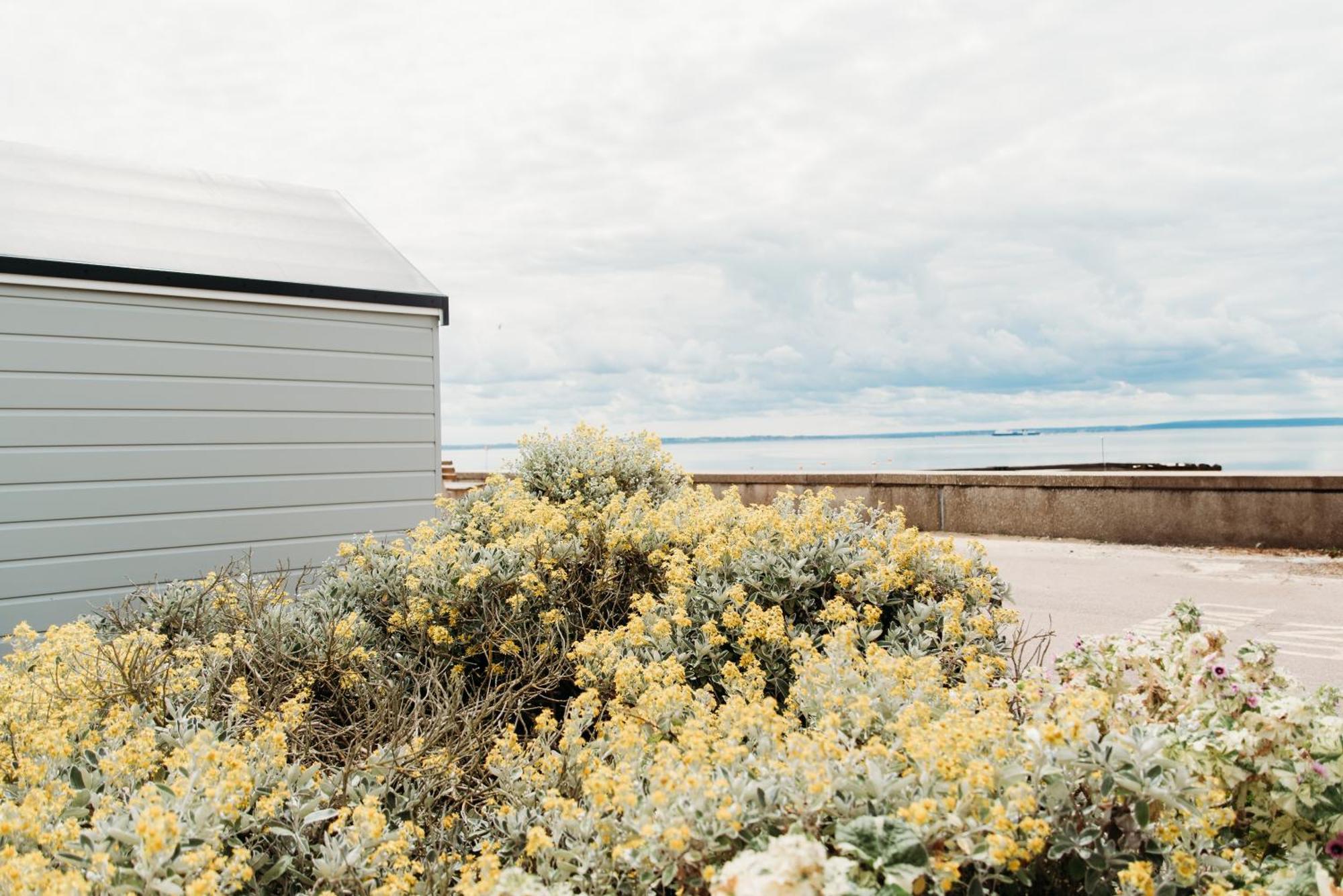 Shoebury Near Sea Front In